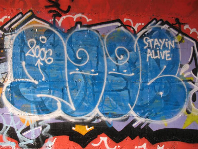 SMOY 2006